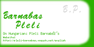 barnabas pleli business card